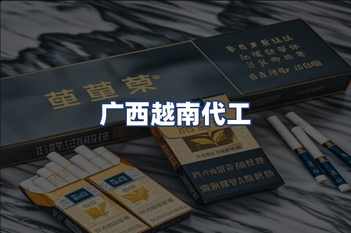 广西越南代工